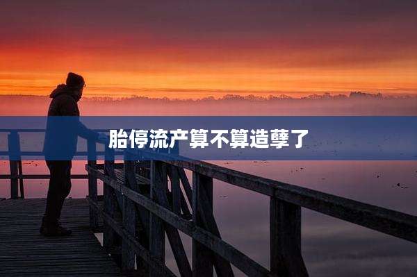 胎停流产算不算造孽了