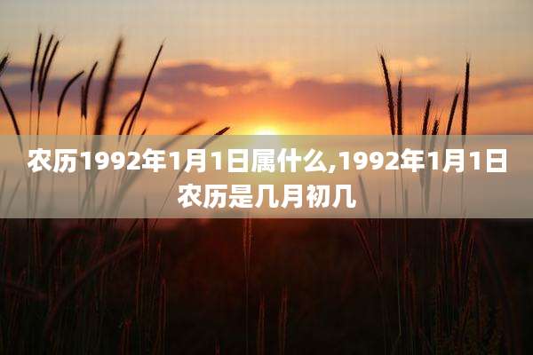 农历1992年1月1日属什么,1992年1月1日农历是几月初几
