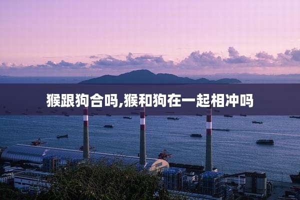 猴跟狗合吗,猴和狗在一起相冲吗