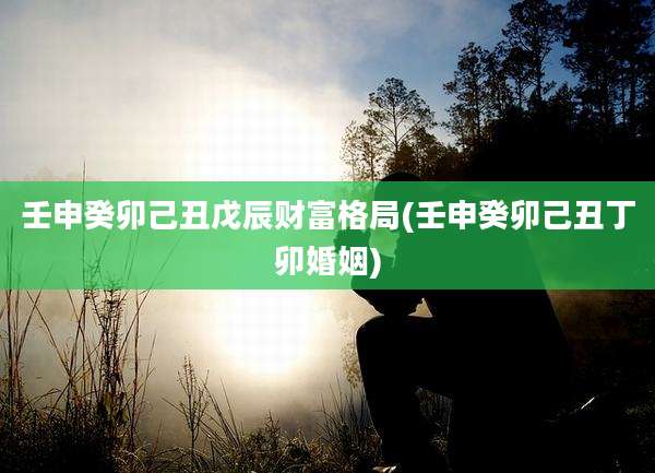壬申癸卯己丑戊辰财富格局(壬申癸卯己丑丁卯婚姻)