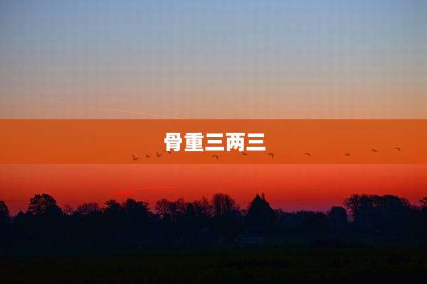 骨重三两三