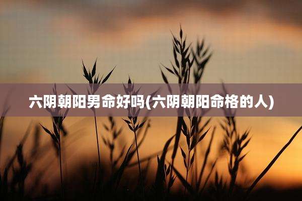 六阴朝阳男命好吗(六阴朝阳命格的人)