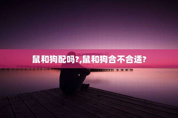 鼠和狗配吗?,鼠和狗合不合适?
