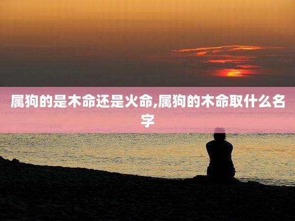 属狗的是木命还是火命,属狗的木命取什么名字