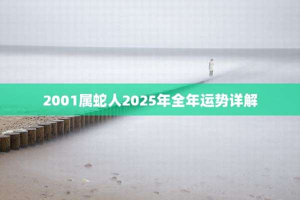 2001属蛇人2025年全年运势详解