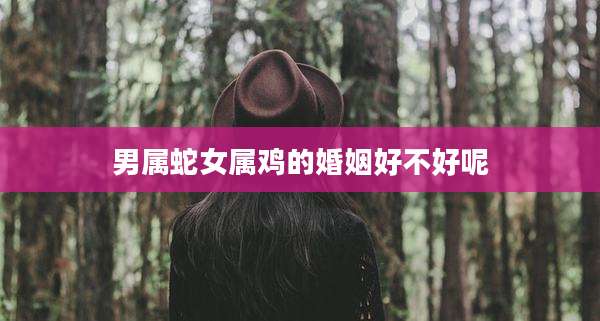 男属蛇女属鸡的婚姻好不好呢