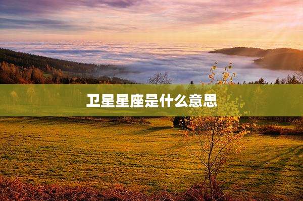 卫星星座是什么意思
