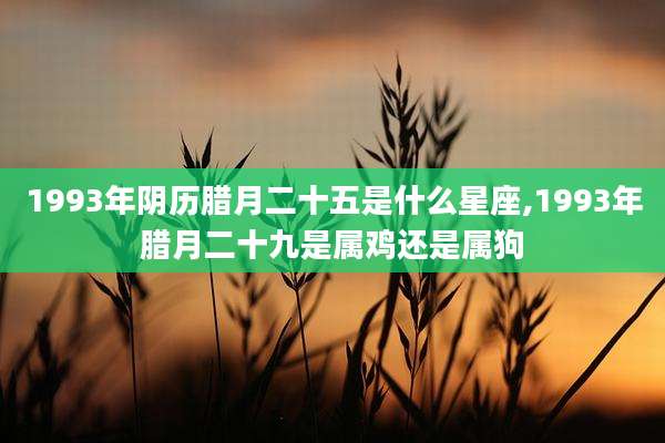 1993年阴历腊月二十五是什么星座,1993年腊月二十九是属鸡还是属狗