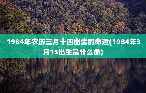 1984年农历三月十四出生的命运(1984年3月15出生是什么命)