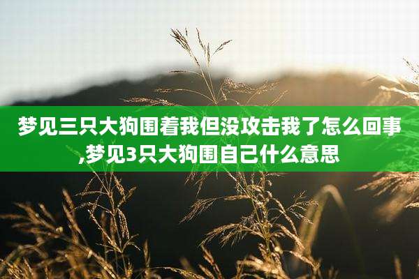 梦见三只大狗围着我但没攻击我了怎么回事,梦见3只大狗围自己什么意思