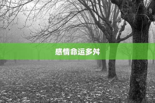 感情命运多舛