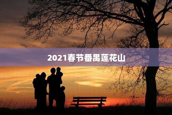 2021春节番禺莲花山