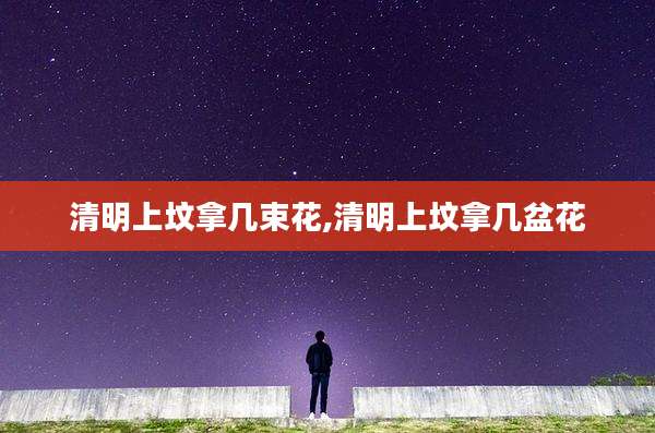 清明上坟拿几束花,清明上坟拿几盆花