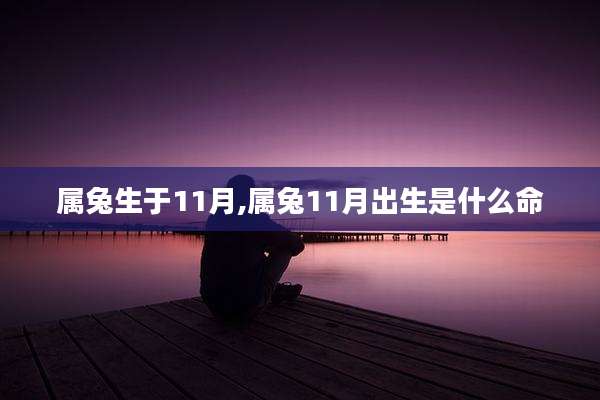 属兔生于11月,属兔11月出生是什么命