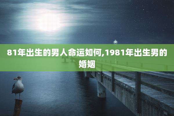 81年出生的男人命运如何,1981年出生男的婚姻