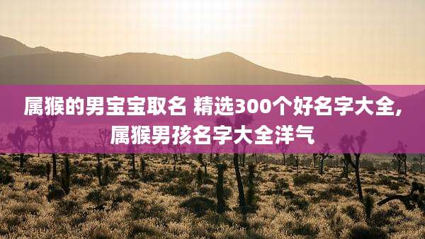 属猴的男宝宝取名 精选300个好名字大全,属猴男孩名字大全洋气