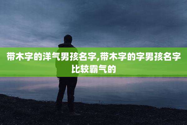带木字的洋气男孩名字,带木字的字男孩名字比较霸气的