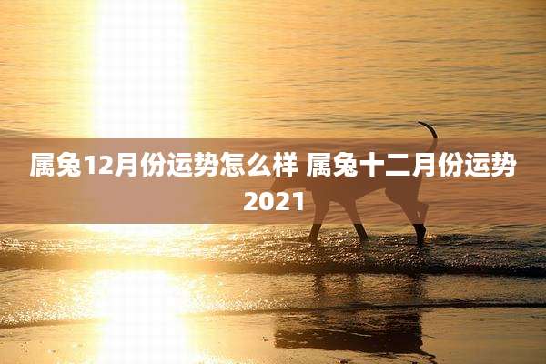 属兔12月份运势怎么样 属兔十二月份运势2021