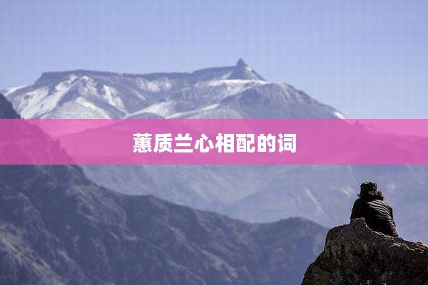 蕙质兰心相配的词