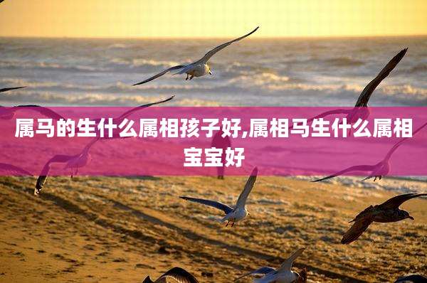 属马的生什么属相孩子好,属相马生什么属相宝宝好