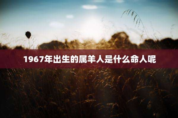 1967年出生的属羊人是什么命人呢