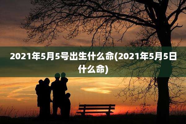 2021年5月5号出生什么命(2021年5月5日什么命)