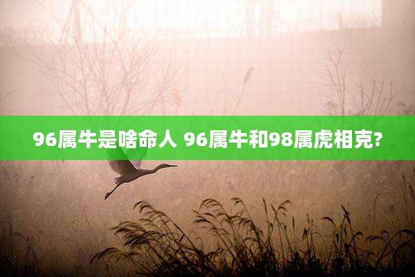 96属牛是啥命人 96属牛和98属虎相克?