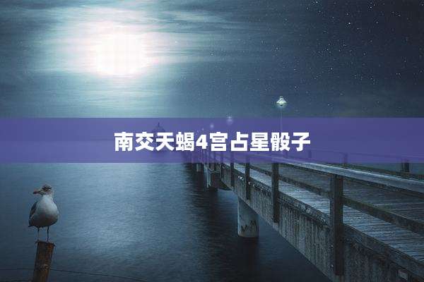 南交天蝎4宫占星骰子