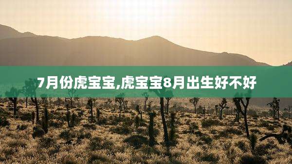 7月份虎宝宝,虎宝宝8月出生好不好