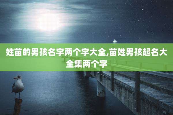 姓苗的男孩名字两个字大全,苗姓男孩起名大全集两个字