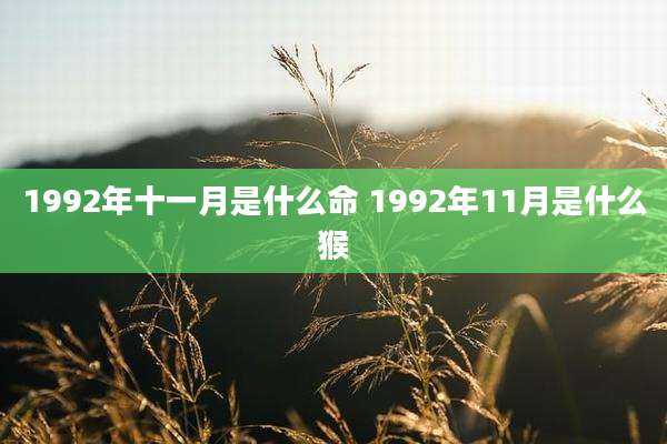 1992年十一月是什么命 1992年11月是什么猴