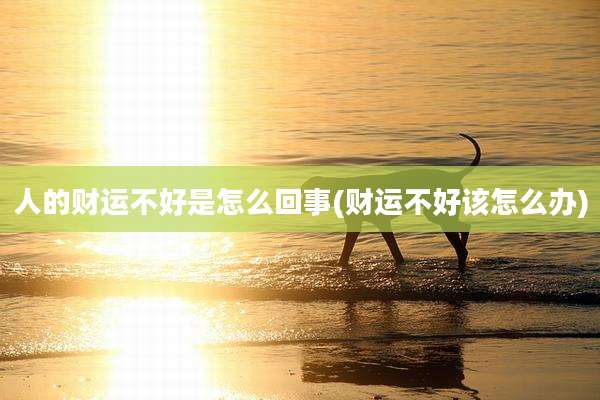 人的财运不好是怎么回事(财运不好该怎么办)