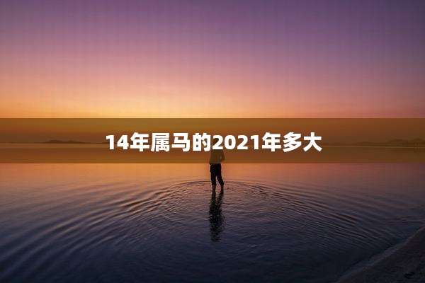 14年属马的2021年多大