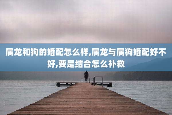 属龙和狗的婚配怎么样,属龙与属狗婚配好不好,要是结合怎么补救