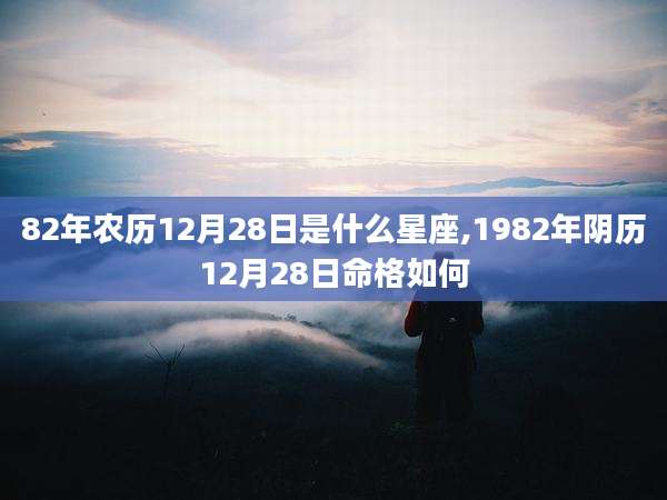82年农历12月28日是什么星座,1982年阴历12月28日命格如何