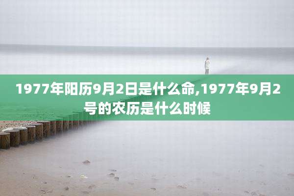 1977年阳历9月2日是什么命,1977年9月2号的农历是什么时候