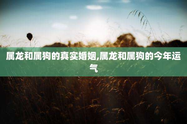 属龙和属狗的真实婚姻,属龙和属狗的今年运气