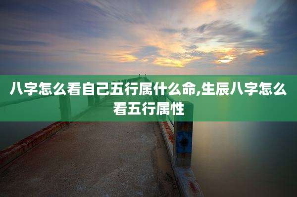 八字怎么看自己五行属什么命,生辰八字怎么看五行属性