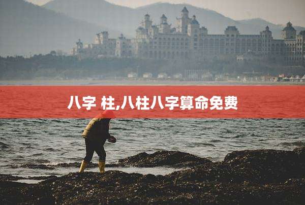八字 柱,八柱八字算命免费