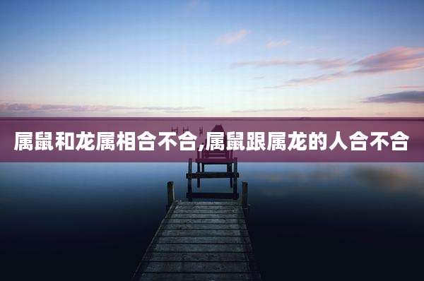 属鼠和龙属相合不合,属鼠跟属龙的人合不合