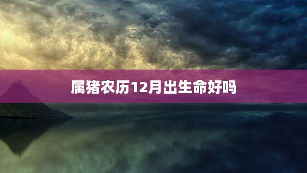 属猪农历12月出生命好吗