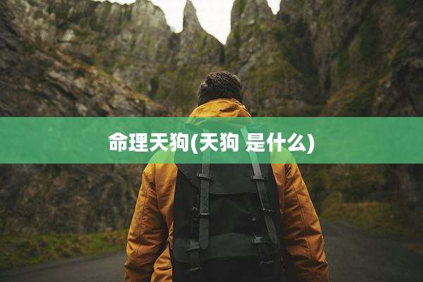 命理天狗(天狗 是什么)