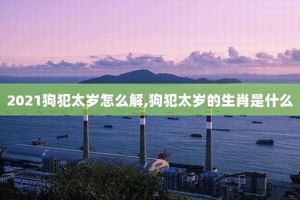 2021狗犯太岁怎么解,狗犯太岁的生肖是什么