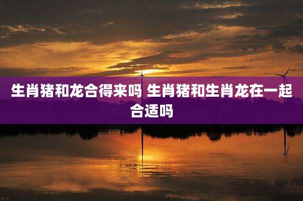 生肖猪和龙合得来吗 生肖猪和生肖龙在一起合适吗