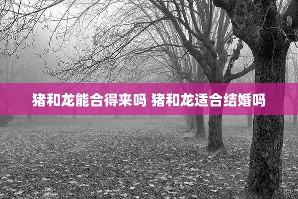 猪和龙能合得来吗 猪和龙适合结婚吗