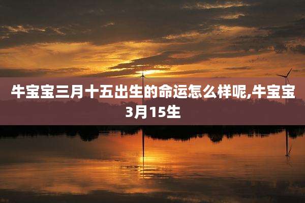 牛宝宝三月十五出生的命运怎么样呢,牛宝宝3月15生