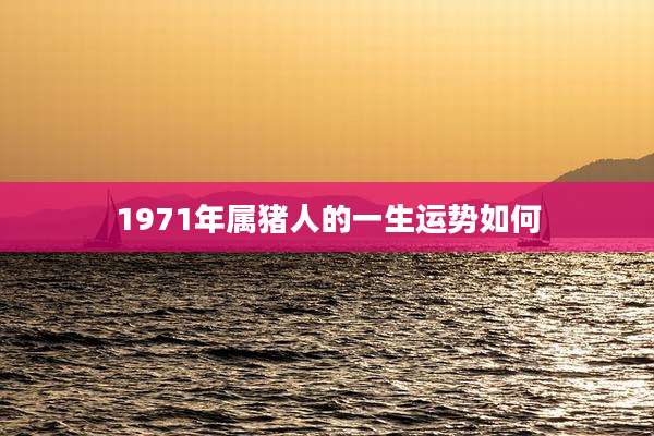 1971年属猪人的一生运势如何