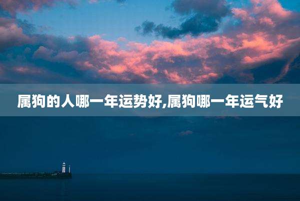 属狗的人哪一年运势好,属狗哪一年运气好