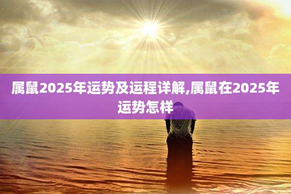 属鼠2025年运势及运程详解,属鼠在2025年运势怎样