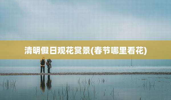 清明假日观花赏景(春节哪里看花)